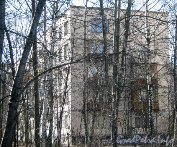 Ул. Козлова, дом 23, корпус 2. Общий вид с ул. Козлова. Фото март 2012 г.