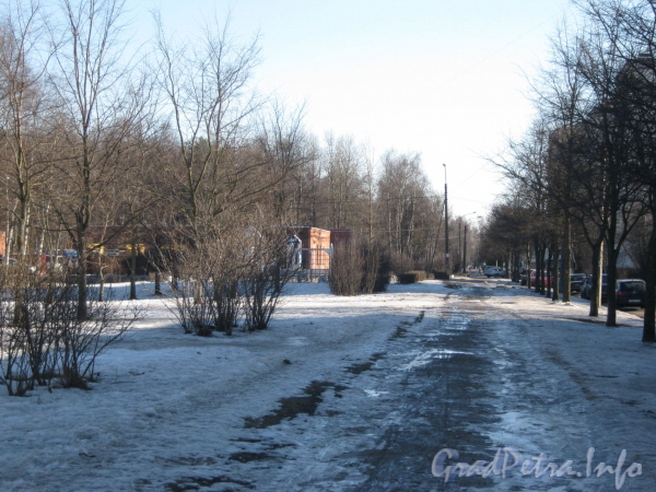 Ул. Козлова, дом 20 (слева). Общий вид ул. Козлова по чётной пешеходной стороне в сторону пр. Ветеранов. Фото март 2012 г.
