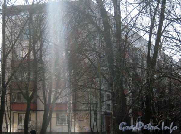 Ул. Солдата Корзуна, дом 20 корпус 2. Общий вид с ул. Козлова. Фото март 2012 г.