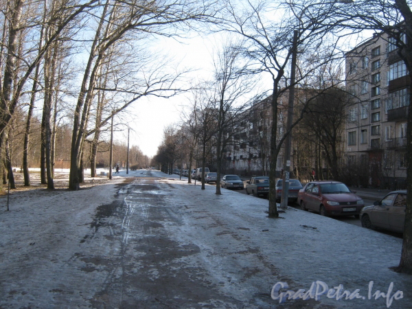 Пешеходная часть чётной стороны ул. Козлова от дома 15 в сторону пр. Ветеранов. Фото март 2012 г.