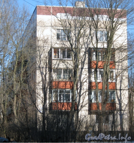 Ул. Солдата Корзуна, дом 20, корпус 2. Общий вид со стороны двора дома 20. Фото март 2012 г.