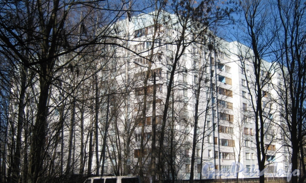 Ул. Козлова, дом 15, корпус 2. Общий вид со стороны двора дома 20 по ул. Солдата Корзуна. Фото март 2012 г.