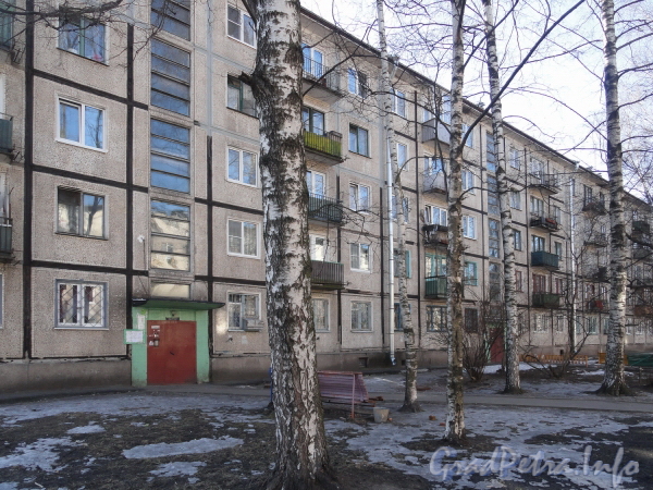 Антоновская ул., дом 5. Фасад жилого дома. Фото апрель 2012 г.