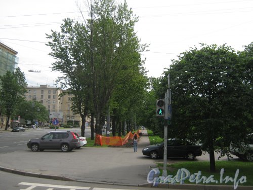 Ул. Ленсовета. Пешеходная часть от ул. Типанова в сторону Алтайской ул. Фото июль 2012 г.