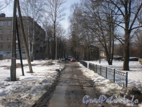 Перспектива Забайкальской улицы от проспекта Энгельса в сторону Удельного проспекта. Фото апрель 2010 года.