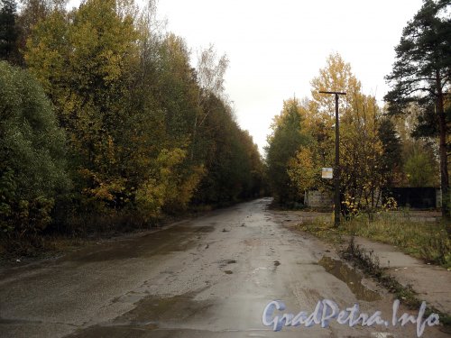 Перспектива Заповедной улицы от моста через реку Каменка в сторону Новоалександровской улицы. Фото октябрь 2011 года.