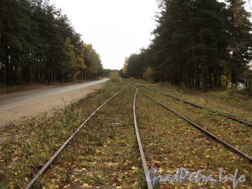Железнодорожные пути между Заповедной улице и Шуваловским карьером около дома 51. Фото октябрь 2011 года.