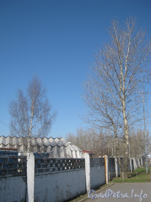 Авиагородок. Забор вдоль домов 32 и 34 по ул. Пилотов. Фото апрель 2012 г.