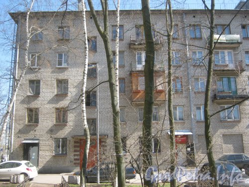 Авиагородок. Ул. Пилотов, дом 30 корпус 1. Вид со стороны двора. Фото апрель 2012 г.
