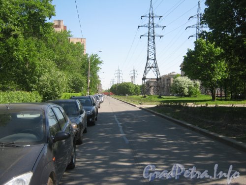 Перспектива ул. Новостроек от пр. Стачек в сторону ул. Маршала Говорова. Фото 25 мая 2012 г.