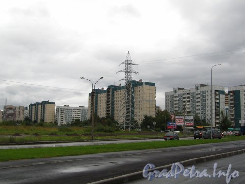 Перспектива четной стороны Камышовой улицы на участке от Планерной улицы в сторону Стародеревенской улицы. Фото 2 сентября 2012 года.