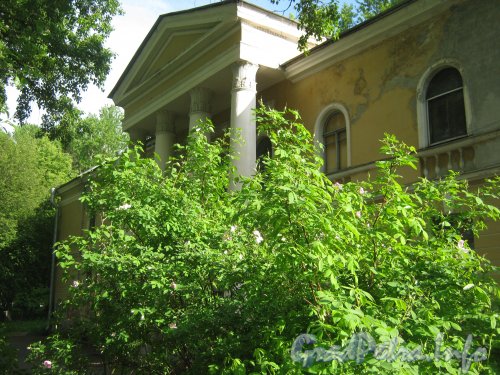 Ул. Чекистов, дом 19, лит. А. Общий вид из парка «Новознаменка» на фасад дома. Фото 9 июля 2012 г.