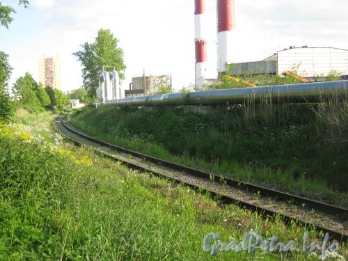 Железнодорожные пути в районе домов 19 (справа) по ул. Пионерстроя. Фото 9 июня 2012 г.