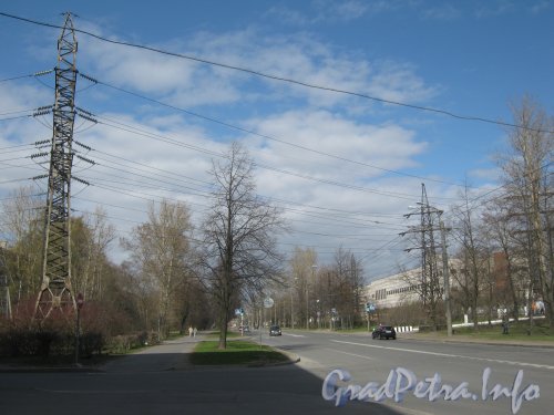 Автовская ул., дом 31 корпус 1 (справа) и перспектива в сторону ул. Возрождения. Фото 3 мая 2012 г.