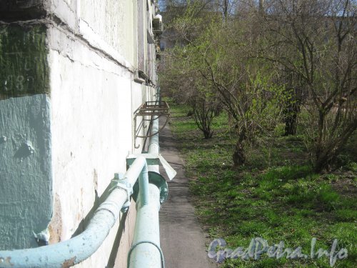Ул. Примакова, дом 4. Стена дома со стороны его двора. Фото 3 мая 2012 г.