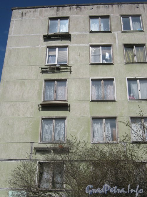 Ул. Примакова, дом 4. Окна со стороны двора. Фото 3 мая 2012 г.