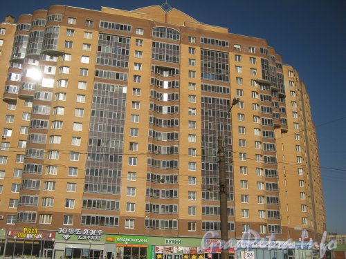 Бухарестская ул., дом 118, корпус 1. Общий вид с Бухарестской ул. на центральную часть фасада. Фото апрель 2012 г.