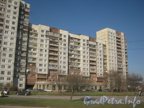 Бухарестская ул., дом 124. Общий вид с Бухарестской ул. . Фото апрель 2012 г.