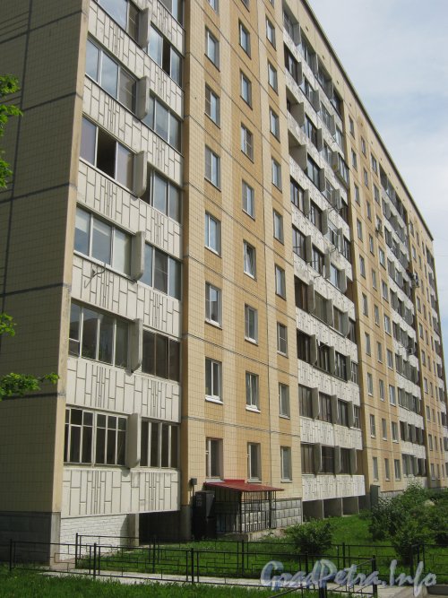 Ул. Тамбасова, дом 31, корпус 2. Общий вид фасада дома. Фото июль 2012 г.