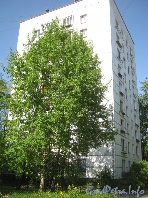 Ул. Танкиста Хрустицкого, дом 6. Общий вид со стороны дома 4. Фото 23 мая 2012 г.