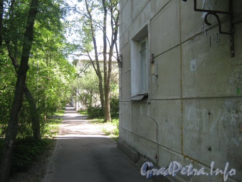 Ул. Танкиста Хрустицкого, дом 16. Стена дома со стороны его парадной. Фото 23 мая 2012 г.