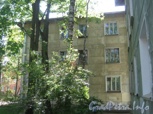 Ул. Танкиста Хрустицкого, дом 34. Общий вид со стороны дома 320. Фото 23 мая 2012 г.