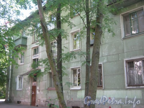 Ул. Танкиста Хрустицкого, дом 50. Общий вид со стороны парадных. Фото 23 мая 2012 г.