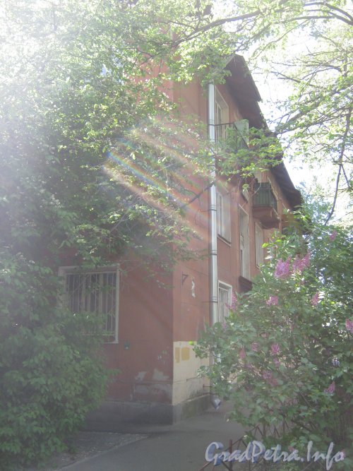 Ул. Танкиста Хрустицкого, дом 64. Общий вид со стороны дома 72. Фото 23 мая 2012 г.
