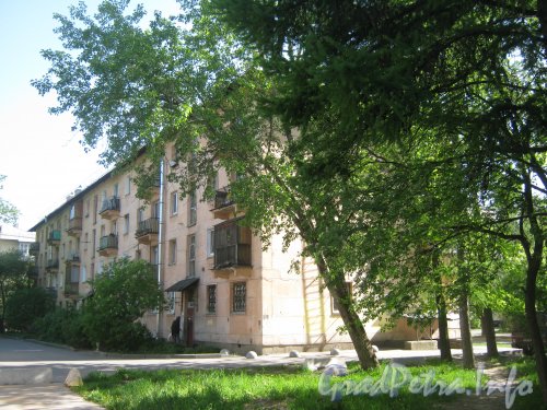 Ул. Танкиста Хрустицкого, дом 96. Общий вид здания со стороны парадных. Фото 23 мая 2012 г.