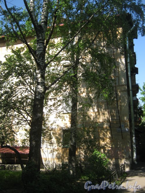 Ул. Танкиста Хрустицкого, дом 98. Угол дома со стороны парадных. Фото 23 мая 2012 г.