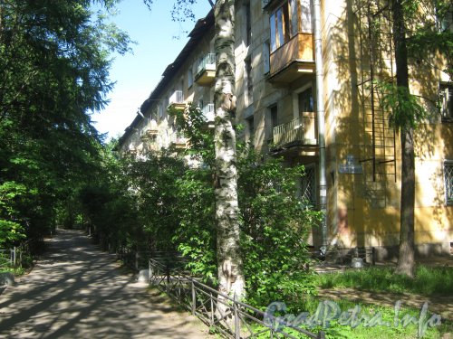 Ул. Танкиста Хрустицкого, дом 102. Общий вид здания со стороны двора и парадных. Фото 23 мая 2012 г.