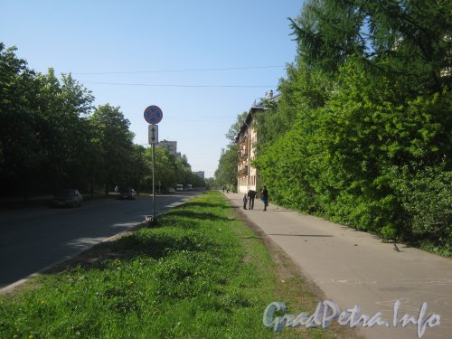 Перспектива улицы Танкиста Хрустицкого в районе дома 110. Вид в сторону пр. Ветеранов. Фото 23 мая 2012 г.