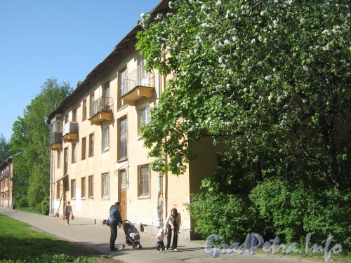 Ул. Танкиста Хрустицкого, дом 82. Общий вид фасада дома. Фото 23 мая 2012 г.