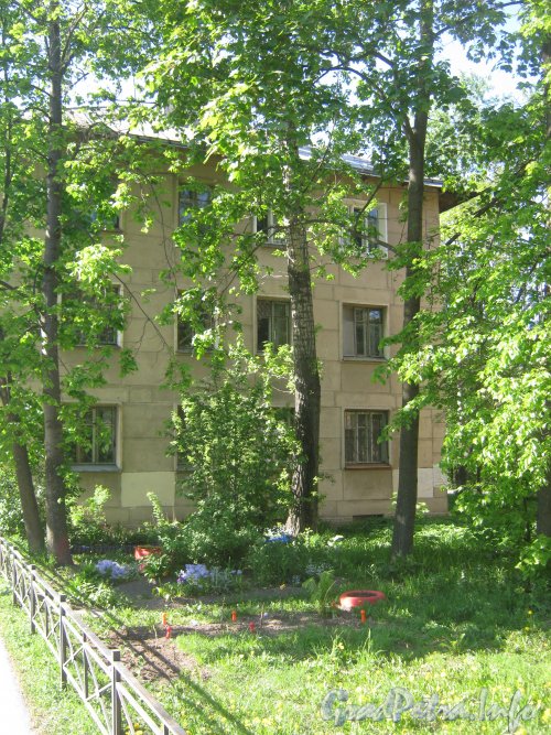 Ул. Танкиста Хрустицкого, дом 38. Общий вид со стороны дома 42. Фото 23 мая 2012 г.