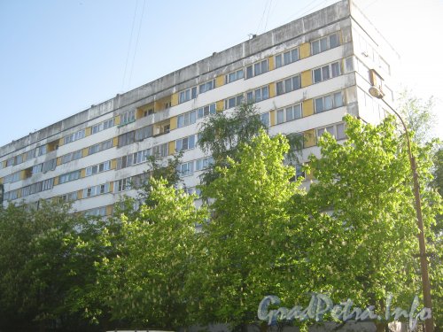 Ул. Танкиста Хрустицкого, дом 7. Общий вид со стороны дома 12 на левую часть здания. Фото 23 мая 2012 г.