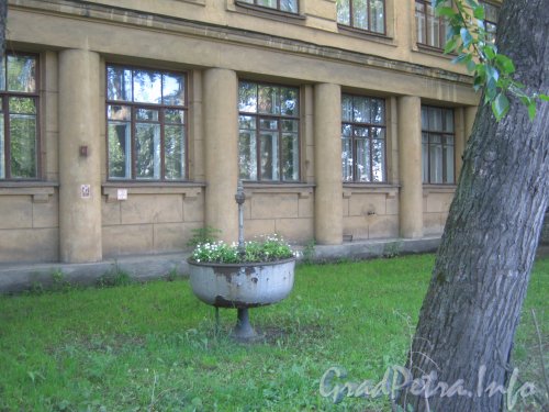 Ул. Швецова, дом 22. Фрагмент фасада и декоративная клумба на газоне. Фото июнь 2012 г.