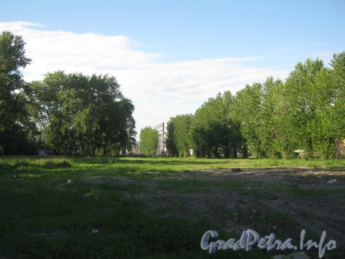 Пустырь между ул. Маршала Говорова и Охотничьим пер. Фото июнь 2012 г.