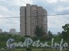 Ул. Чекистов, дом 26. Вид с Петергофского шоссе. Фото 25 июня 2012 г.