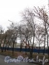 Ул. Победы, дом 5. Участок до строительства жилого дома. Фото 6 ноября 2012 г.