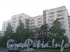 Ул. Руднева, дом 6. Общий вид с ул. Руднева. Фото 4 сентября 2012 г.