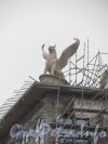 Депутатская ул., дом 26. Грифон на крыше жилого дома «Венеция».  Фото 22 ноября 2012 г.