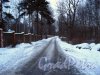 Перспектива улицы Кольцова от Поклонногорской улицы. Фото февраль 2013 г.