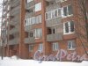 Ул. Киришская, дом 9. Общий вид нижней части здания. Фото 30 января 2013 г.