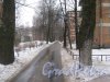 Зелёная улица. Перспектива в районе дома 59 по Светлановскому пр. (слева) в сторону пр. Раевского. Фото 8 февраля 2013 г.