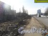 Панорама Афонской улицы. Борьба с зелеными насаждениями. Фото апрель 2013 г.