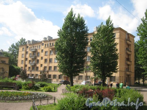 Ул. Швецова, дом 6. Общий вид со стороны двора дома 10. Фото 25 июня 2012 г.