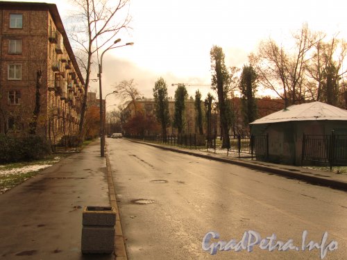 Перспектива улицы Пинегина от проспекта Елизарова в сторону улицы Ольги Берггольц. Фото октябрь 2012 г.