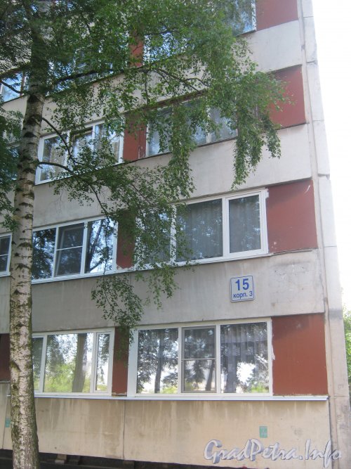 Ул. Пионерстроя, дом 15, корпус 3. Вид со стороны фасада на угол дома. Фото 9 июня 2012 г.