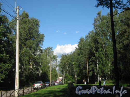 Улица Витковского. Вид со стороны пр. Тореза. Фото 4 сентября 2012 г.