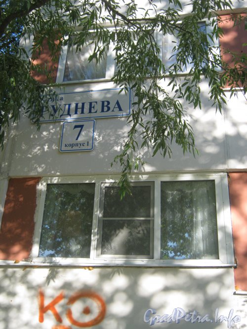 Ул. Руднева, дом 7, корпус 1. Окна первых этажей и табличка с номером дома. Фото 4 сентября 2012 г.